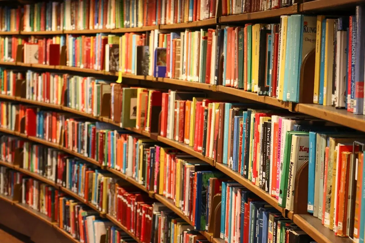 Тёплый свет и книжные полки читального зала